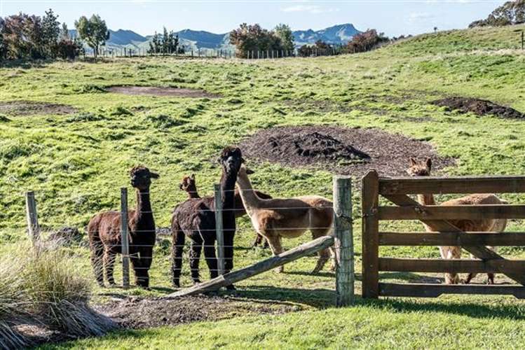 1046 Kahuranaki Road Central Hawkes Bay Coastal_14