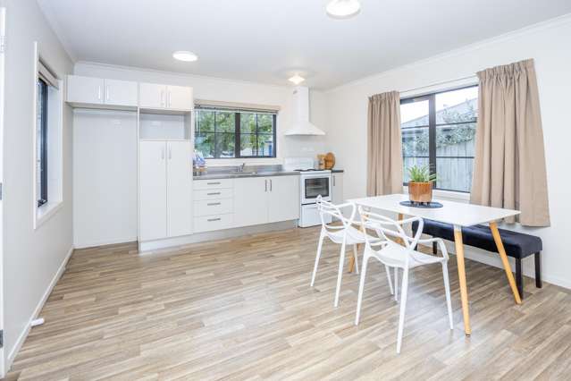 47a Nixon Street Hamilton East_2