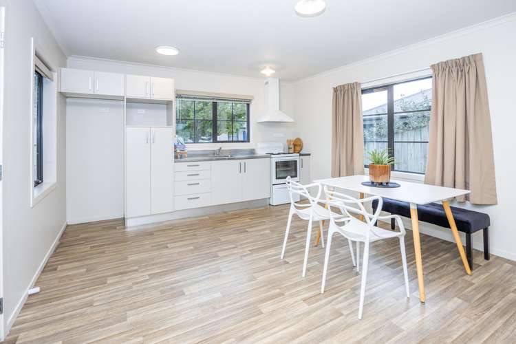 47a Nixon Street Hamilton East_2