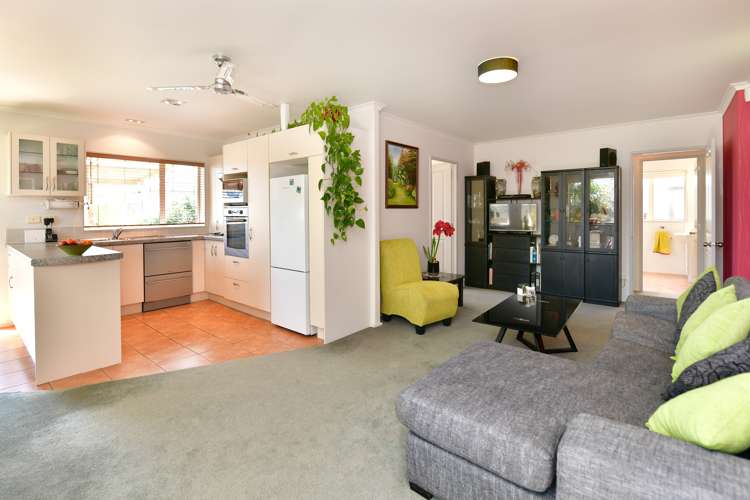 41 Rishworth Avenue Stanmore Bay_5