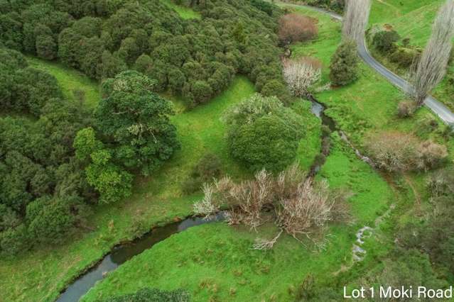 Lot 1 Moki Road, Tahora Taumarunui_4