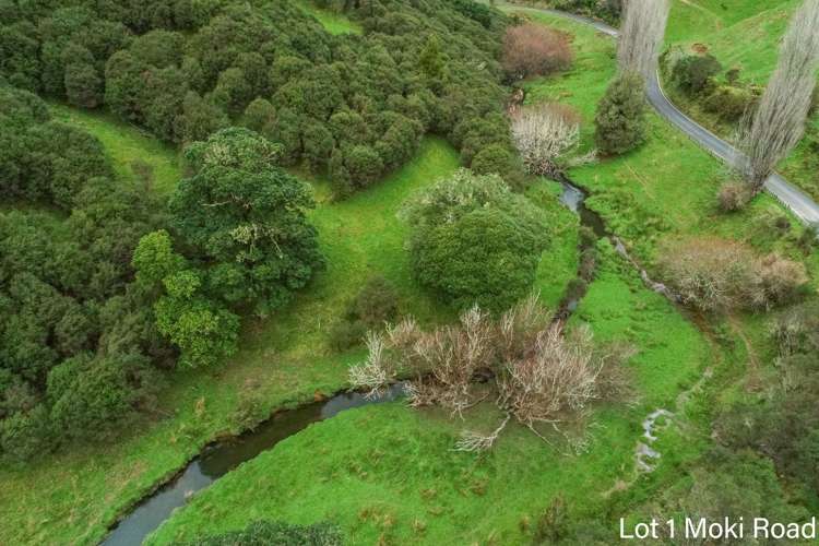 Lot 1 Moki Road, Tahora Taumarunui_4