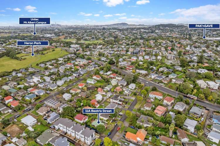 11a Beatrix Street Avondale_12