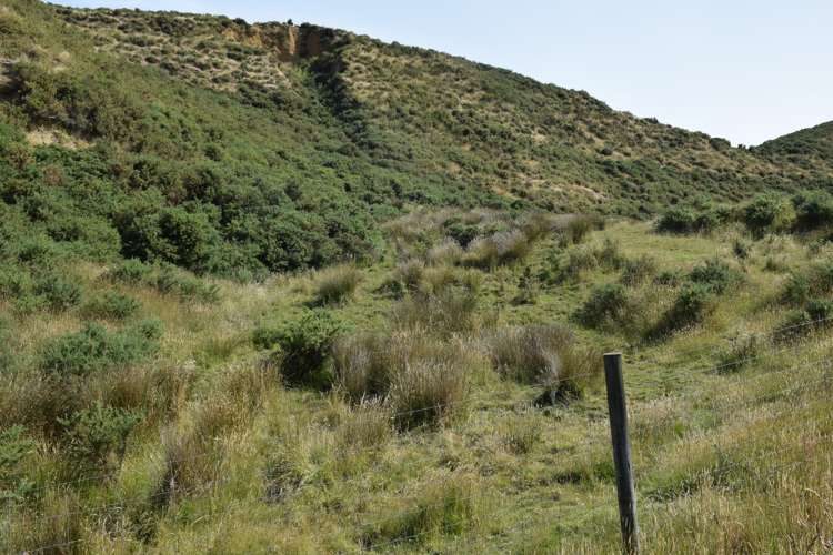 167 Campions Road Cust_7