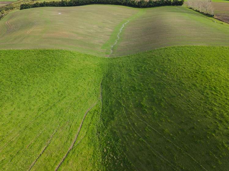 315 Woolshed Valley Road Otaio_5