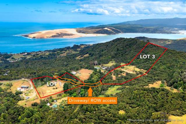 PRICED TO SELL LIFESTYLE BLOCKS - LOT 1 & LOT 3