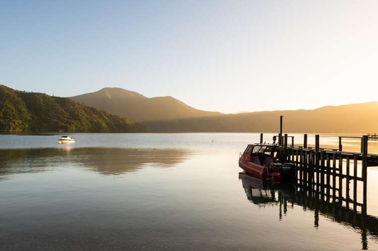 3178 Blackwood Bay Marlborough Sounds_40