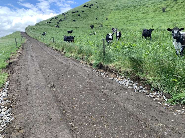 678 Bird Road Stratford_11