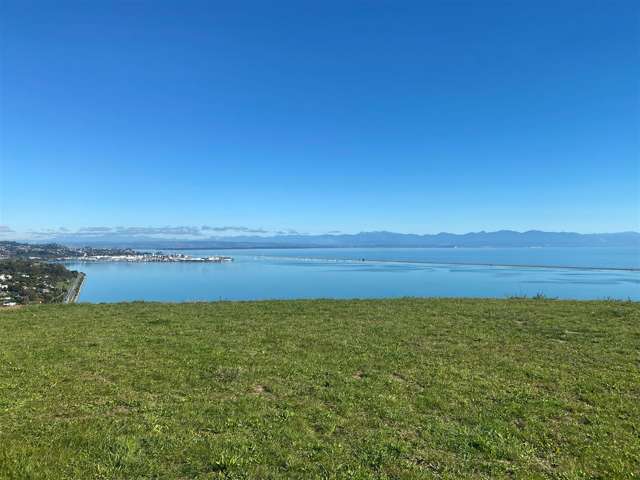 111 Bay View Road Atawhai_2