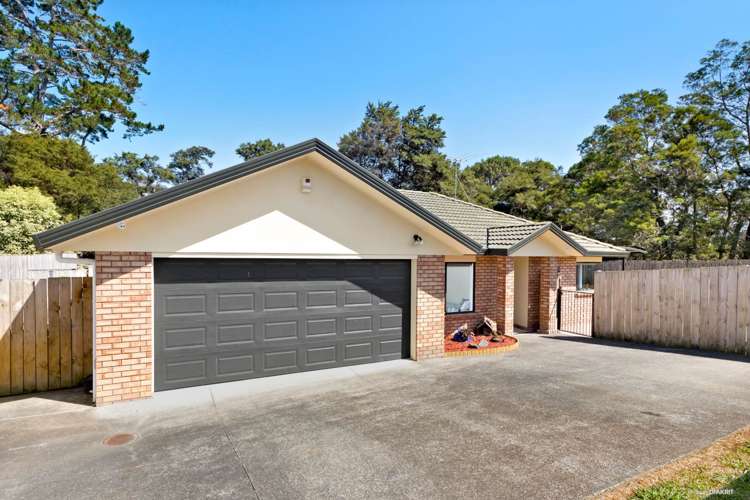 53 Hewlett Road Massey_1