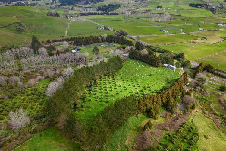 548B Waihi Whangamata Road Waihi_6