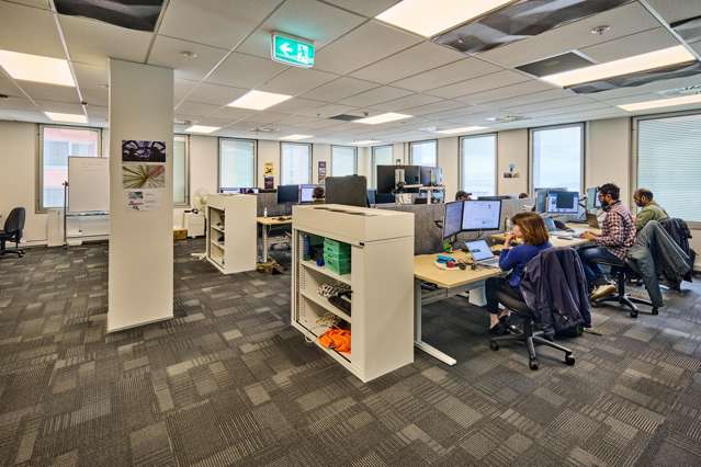 155 The Terrace Wellington Central_2