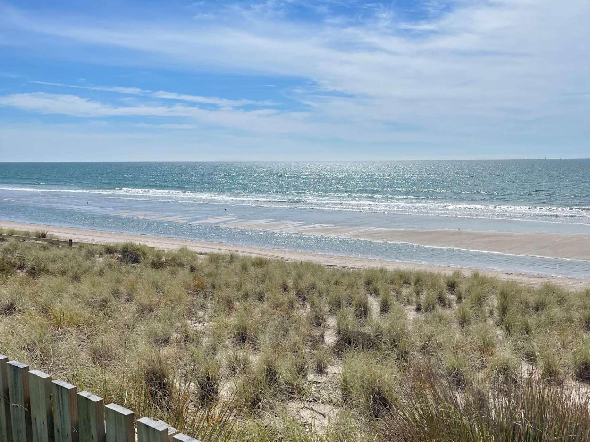 107 Karewa Parade 1131_0