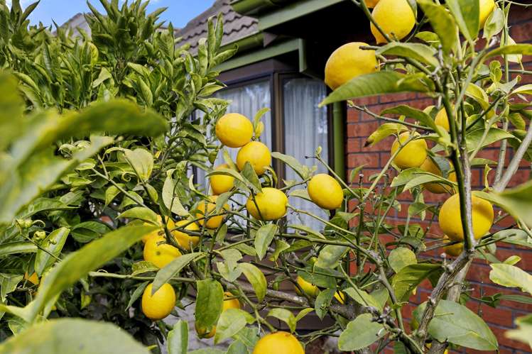 1/406 Fergusson Drive Heretaunga_16