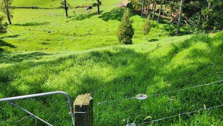 133 Kaimata Road Kaimata_16