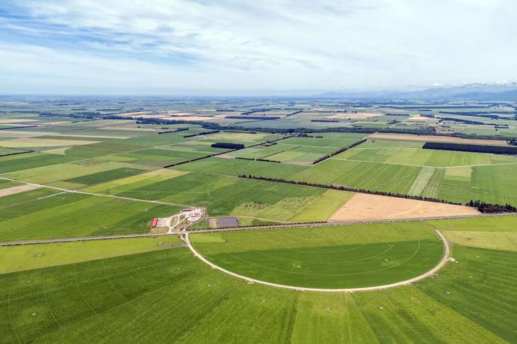 2247 Tinwald Westerfield Mayfield Road Ashburton_6