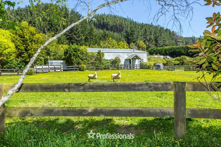 118 Colletts Road Mangaroa_25