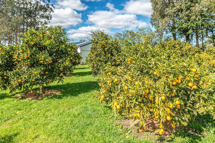 394 Kaiwhaiki Road Kaiwhaiki_26