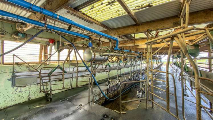 264 Matatoki Road Matatoki_6