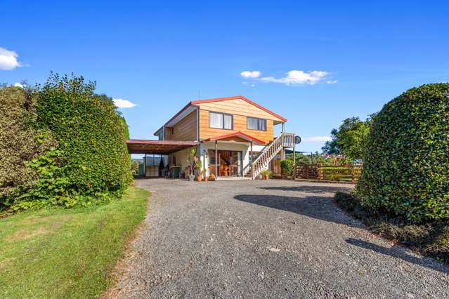 342 Youngson Road Whakamarama_2