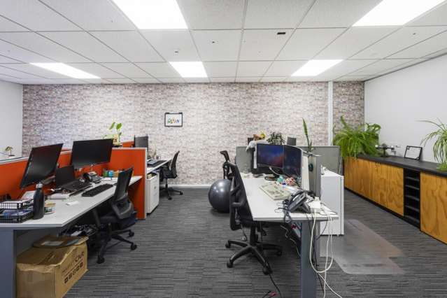 23 Carlyle Street Sydenham_2