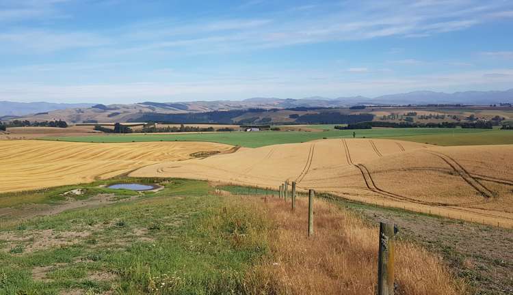 49 Robinson Road Pleasant Point_2