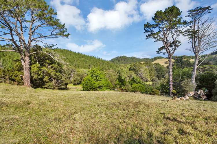 40 Waiparera Road Parua Bay_11