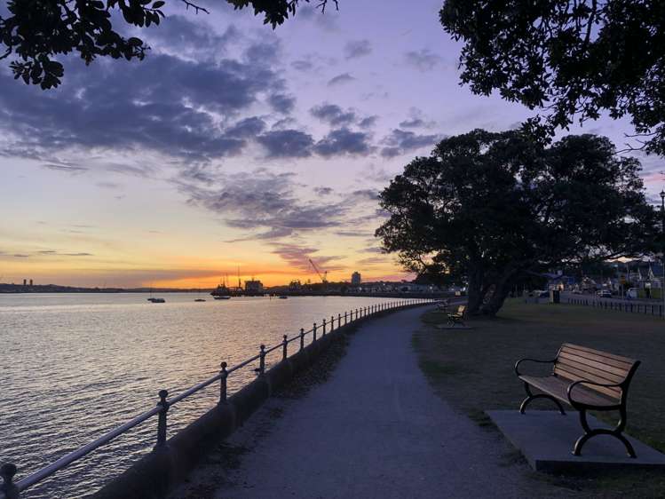 62 Calliope Road Stanley Point_21