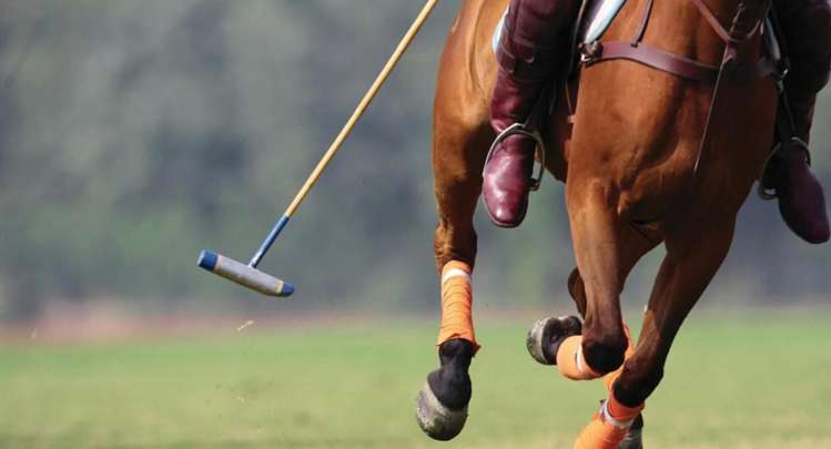 Lot 150/62-80 Papakura-Clevedon Road Clevedon_17