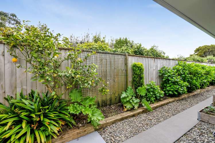 15 Keene Drive Bell Block_40