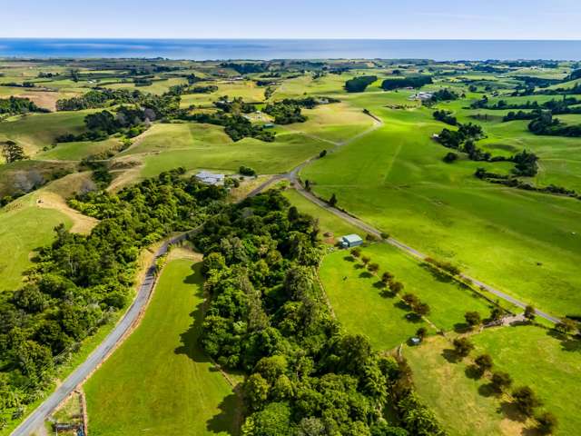 Weld Road Upper Oakura_4