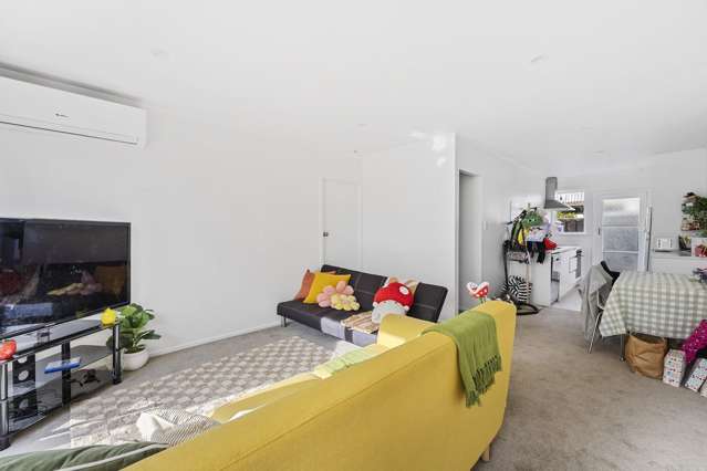 Flat 3/43 Cameron Road Hamilton East_4