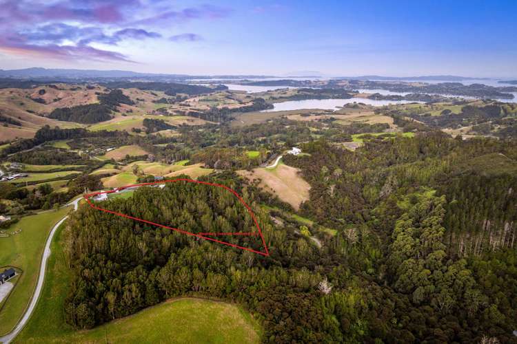 138 Mahurangi West Road_4