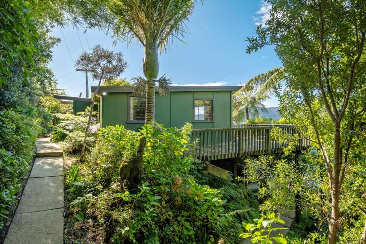 Lot 1 Blackwood Bay Queen Charlotte Sound_18