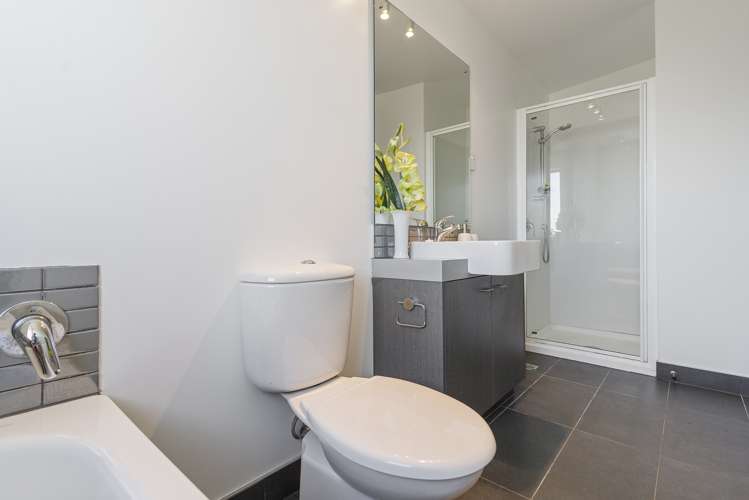 74a Saint Georges Road Avondale_8