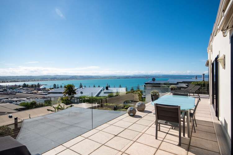 36 Roslyn Road Bluff Hill_8