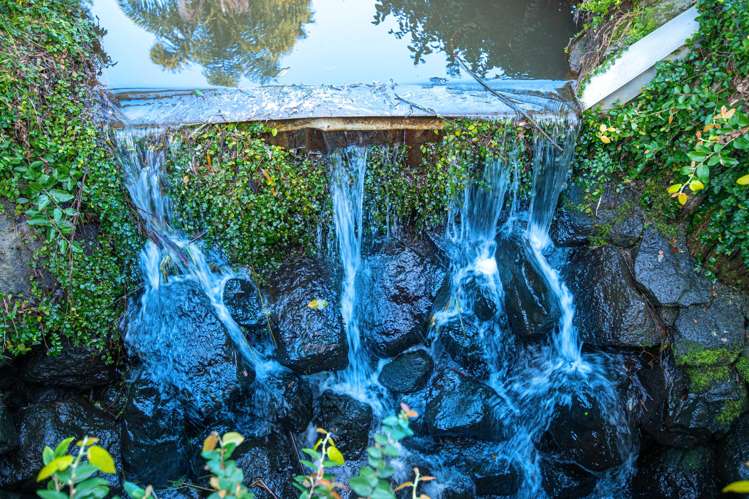 257 Pine Valley Road Dairy Flat_10