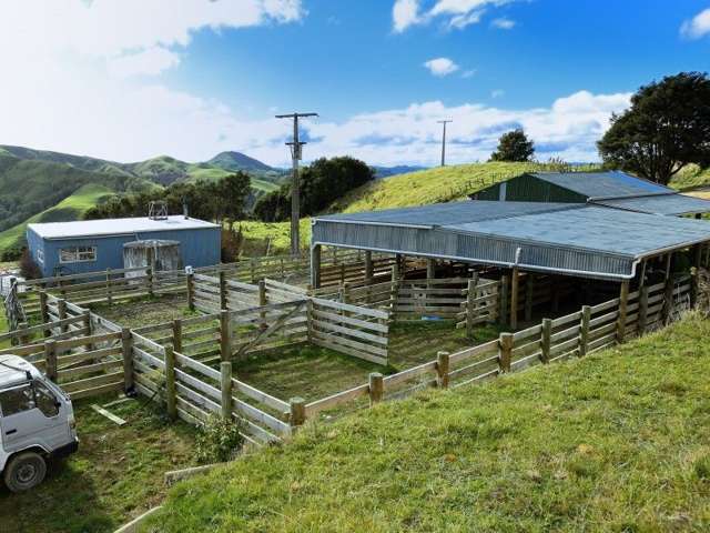 4381 Matawai Road Te Karaka_1