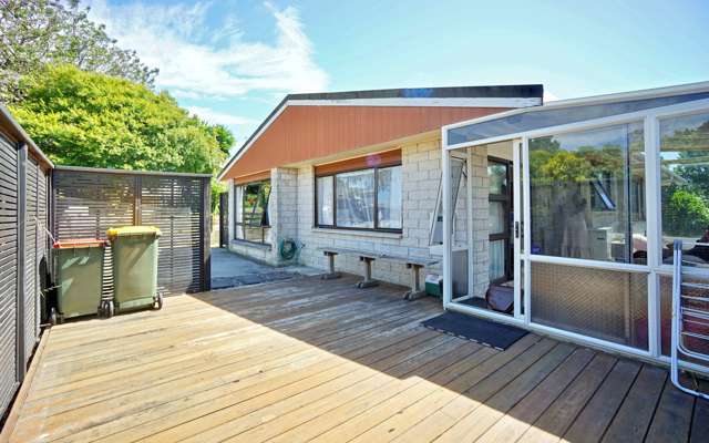 47a Moehau Street Te Puke_2