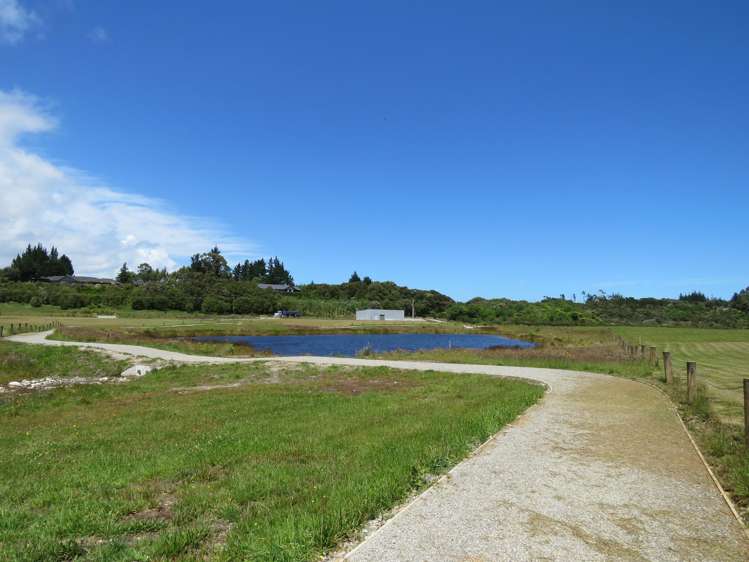 Alma/McPadden Road Westport_6