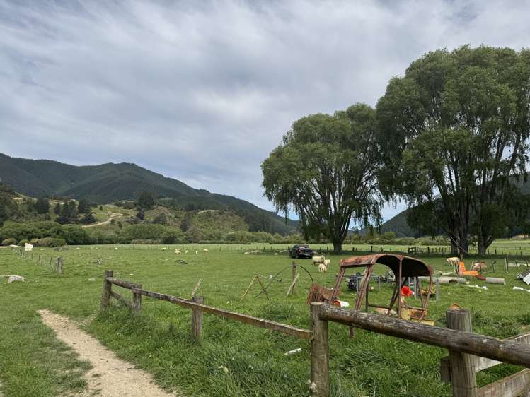 17 Para Railway Road Koromiko_13