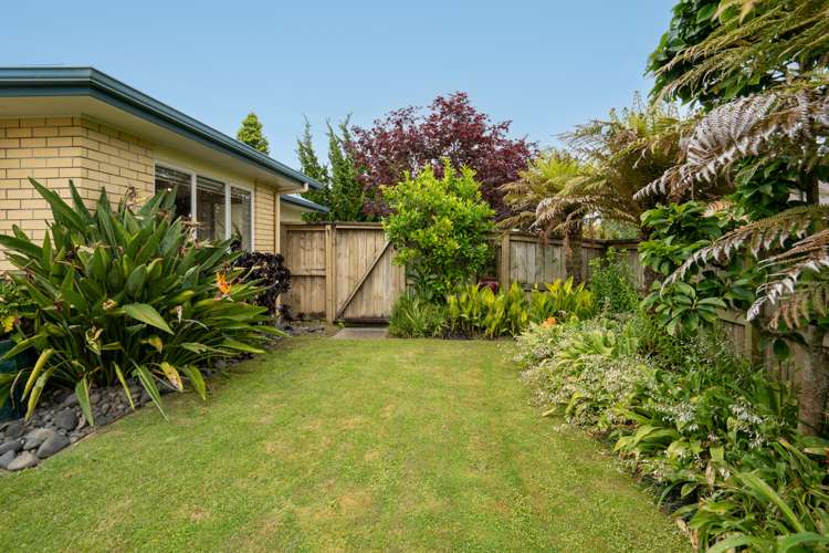 6a Madison Street Cambridge_21