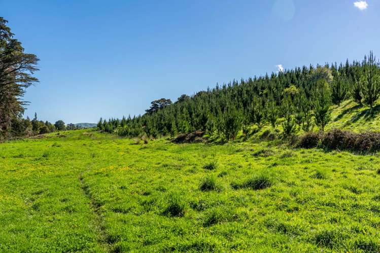 Porangahau Road Wallingford_6