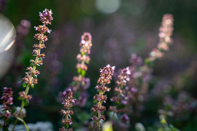 5-7 Kohekohe Road Waikanae_17