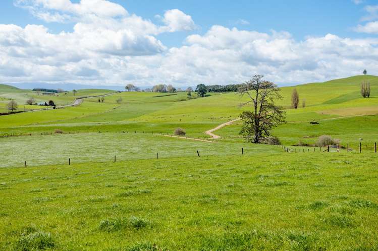 17 Chepmell Road Morrinsville_2