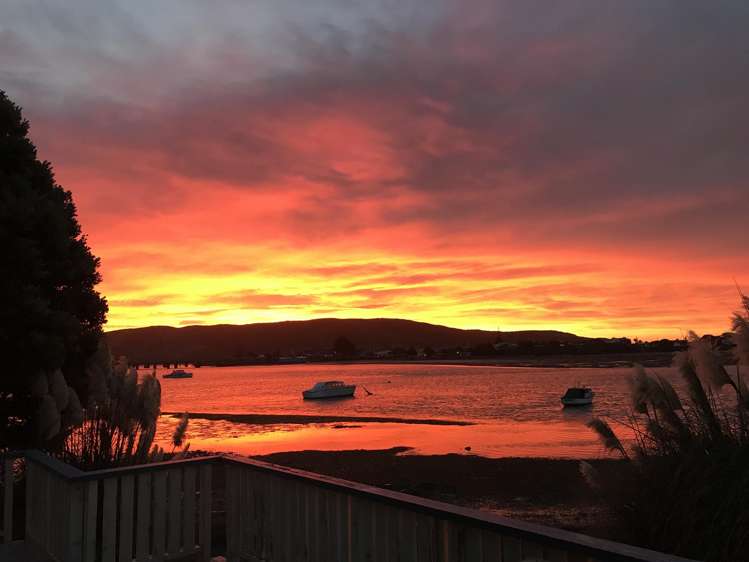 55 Paremata Road Paremata_40