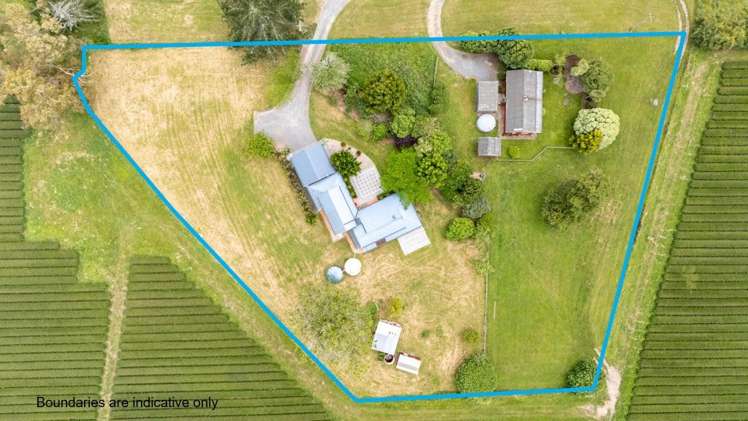 55 Boyd Road Gordonton_39