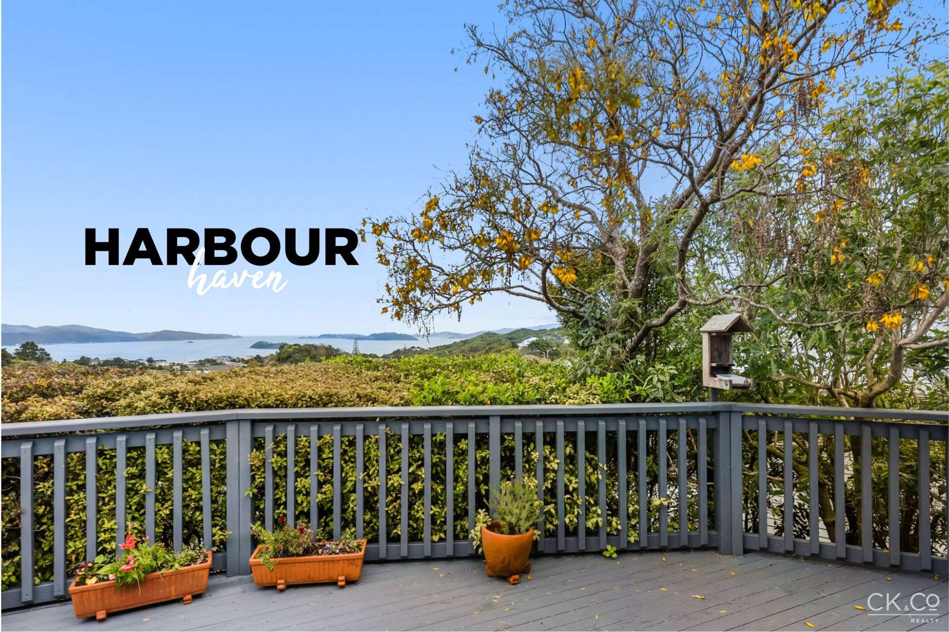 224 Dowse Drive Maungaraki_0