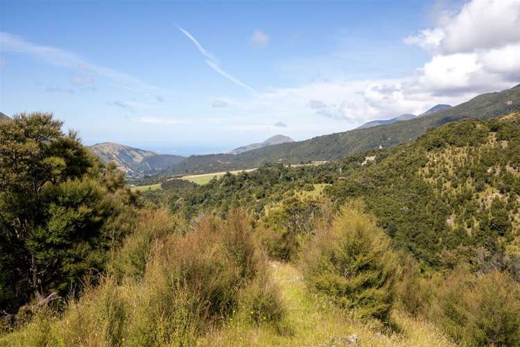 1178 Puhi Puhi Road Puhi Puhi_13