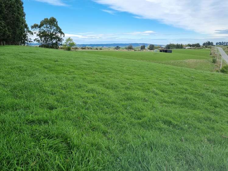 300 Milton Highway Balclutha_4